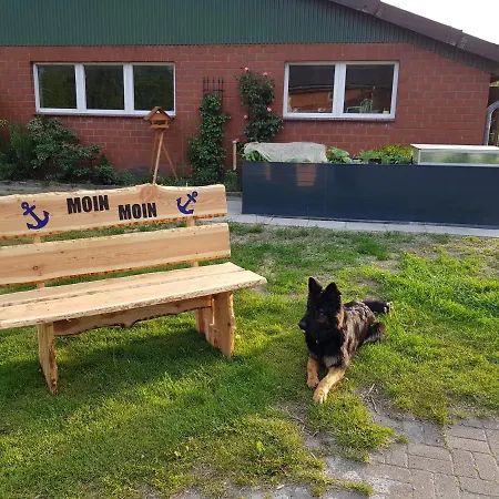 Biolandhof Dorn Highlander Vom Elbdeich Apartment