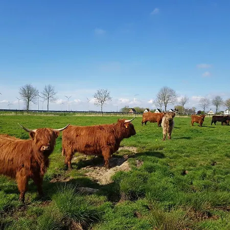 Biolandhof Dorn Highlander Vom Elbdeich Apartment Nordleda