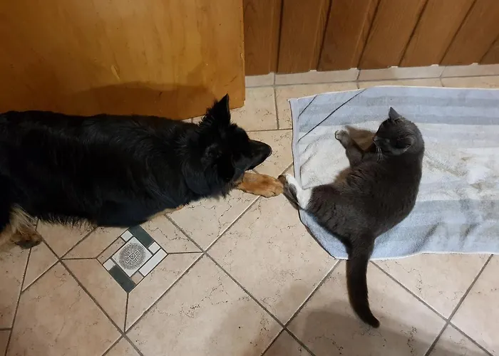 Апартаменты Biolandhof Dorn Highlander Vom Elbdeich Nordleda