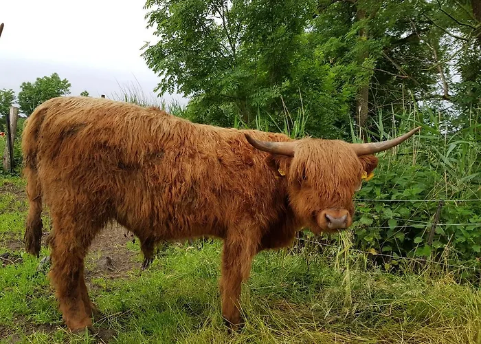 Апартаменты Biolandhof Dorn Highlander Vom Elbdeich Nordleda