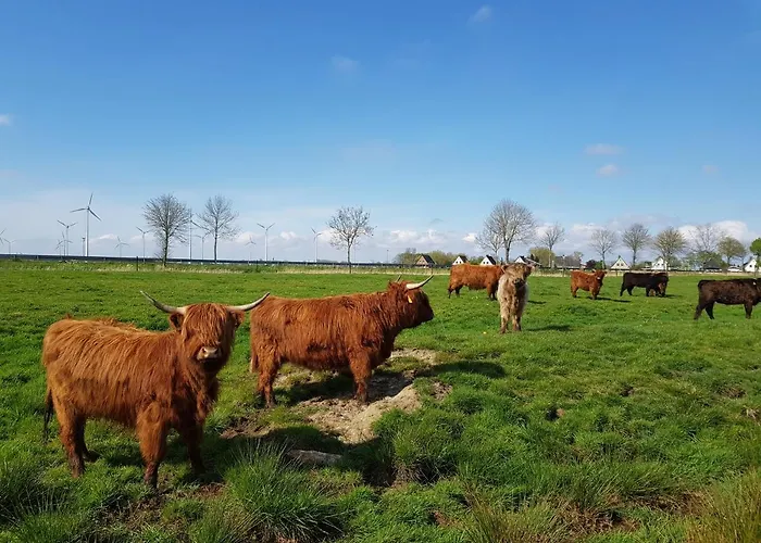 Biolandhof Dorn Highlander Vom Elbdeich Апартаменты Nordleda